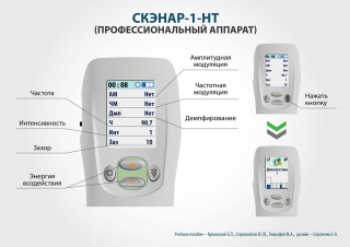 СКЭНАР-1-НТ (исполнение 01)  в Мытищах купить Медицинский интернет магазин - denaskardio.ru 