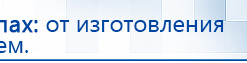 Электроды Скэнар -  двойной овал 55х90 мм купить в Мытищах, Электроды Скэнар купить в Мытищах, Медицинский интернет магазин - denaskardio.ru
