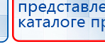 СКЭНАР-1-НТ (исполнение 01 VO) Скэнар Мастер купить в Мытищах, Аппараты Скэнар купить в Мытищах, Медицинский интернет магазин - denaskardio.ru